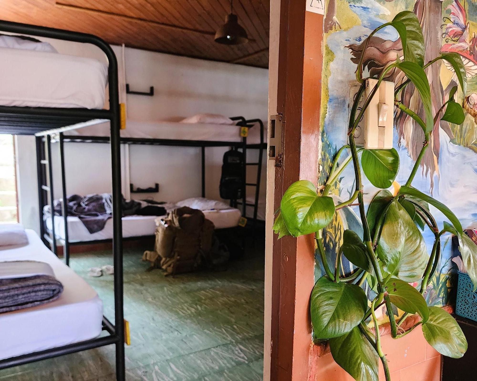Casa Kayam Art Hostel Coliving Coworking Guatapé Exterior foto